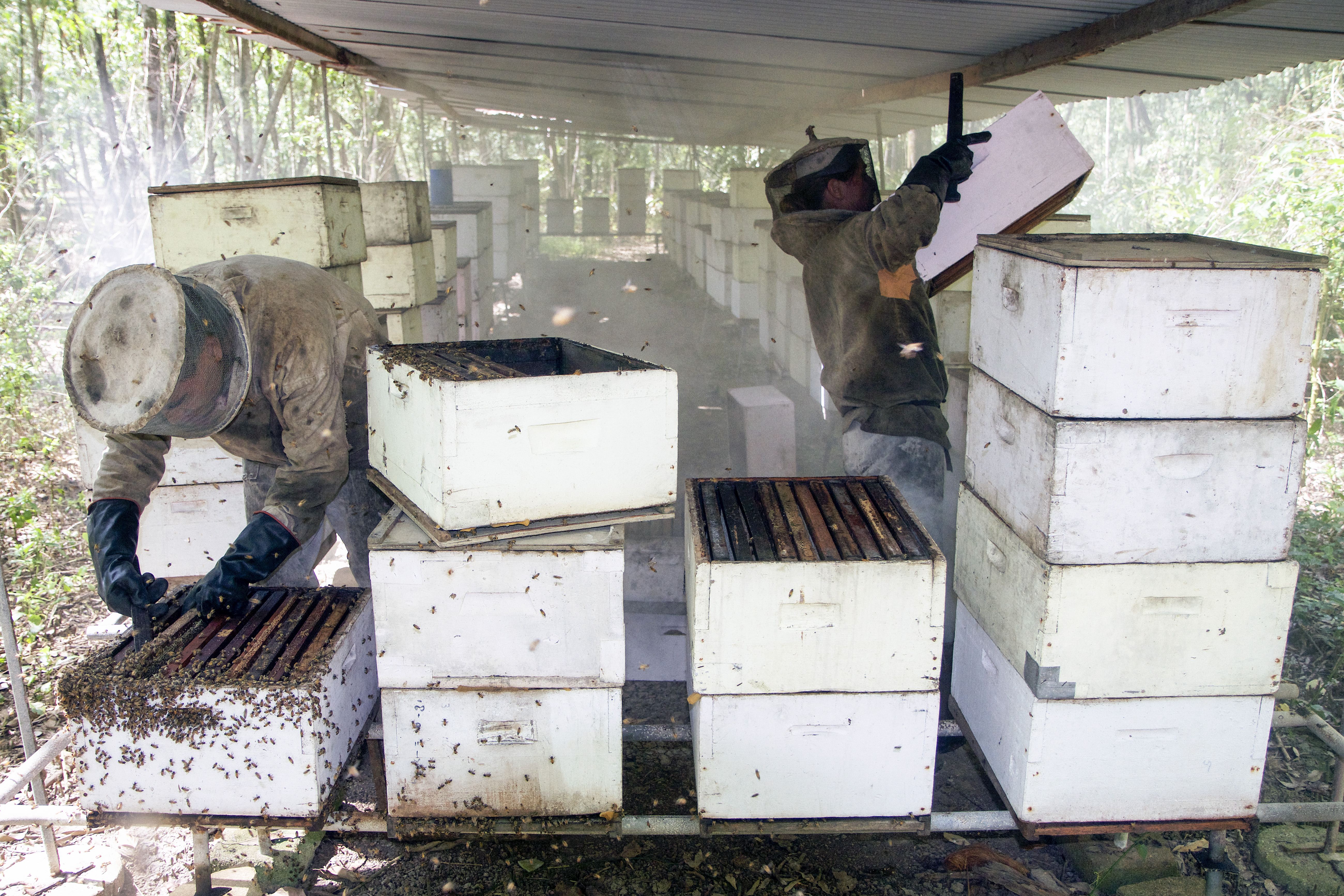 Frank en Mariska van der Sluys